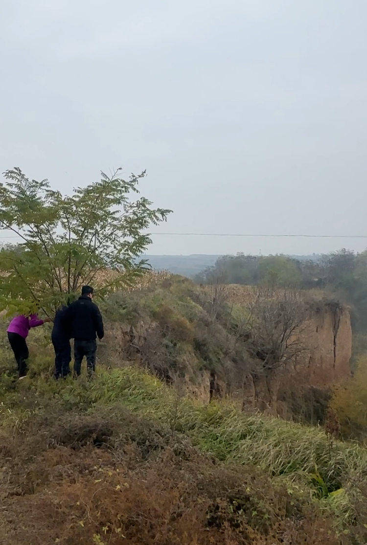 皇冠信用网登2代理
_陕西咸阳一男子打晕妻子误以为已死皇冠信用网登2代理
，将人扔下土崖致其死亡被公诉