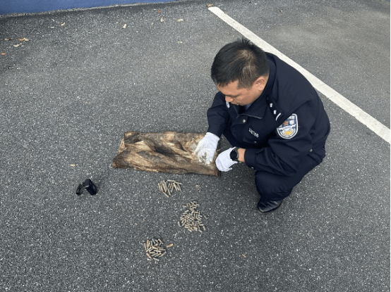 皇冠信用网在线注册
_男子钓到108发子弹以为是大鱼皇冠信用网在线注册
，警方：疑似为历史遗留弹药，已移交至相关部门处理