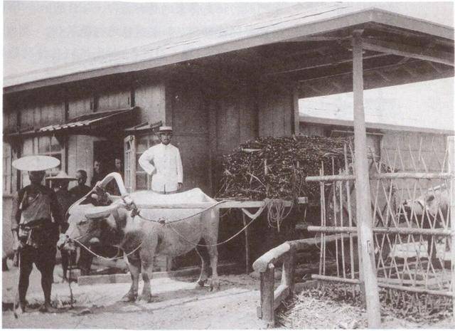 皇冠足球会员注册
_日本欠台湾的血债皇冠足球会员注册
,该还了!