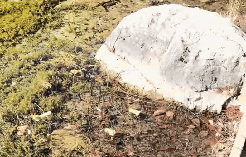 皇冠登一登二登三区别_一游客在九寨沟乱扔玉米棒皇冠登一登二登三区别，辩称“大自然的东西回大自然” 景区：明确禁止乱扔垃圾