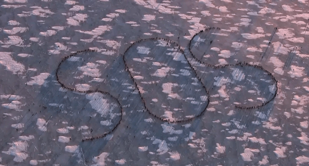 怎么申请皇冠信用网_ICE来了就吹哨子怎么申请皇冠信用网!暴力执法中的明州之冬与零下20°C的SOS