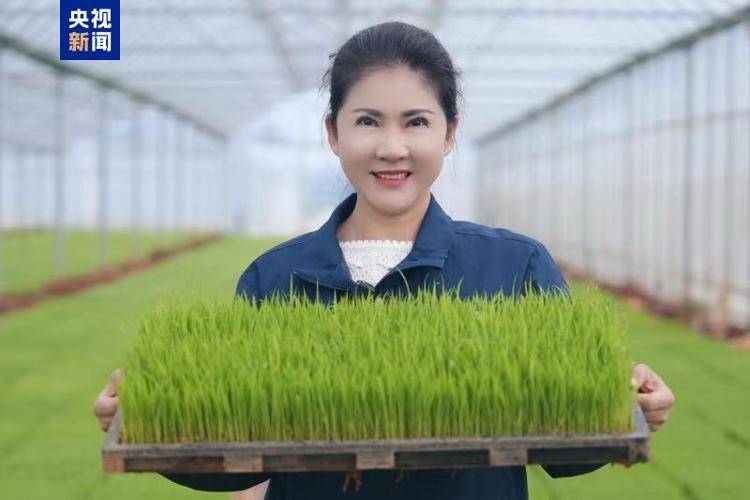 亚洲杯足球比赛比分_联合国粮农组织表彰“百位巾帼英雄” 殷玉珍等3名中国女性获殊荣